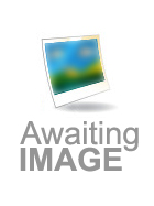 Stethoscope-Cardiology